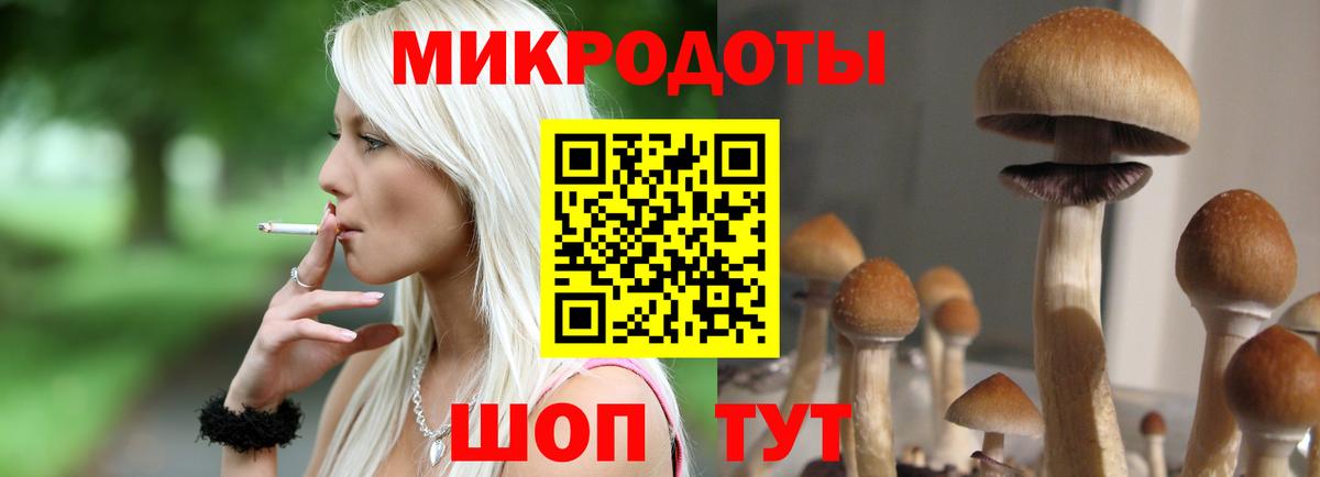 Псилоцибиновые грибы Psilocybine cubensis Аксай